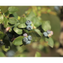 94E11548-F5E7-4E42-97C7D54FC7236A6A.png