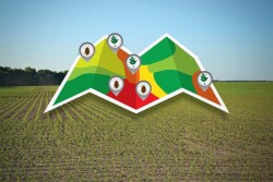 Some weaknesses affect an entire field, and some are only found in management zones, which means pest pressure can vary.