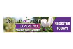 United refresh experienced.png