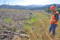 Professional forester and Wilbur-Ellis representative Bruce Alber observes a spray plot, where aerial applications achieve accuracy within 12".
