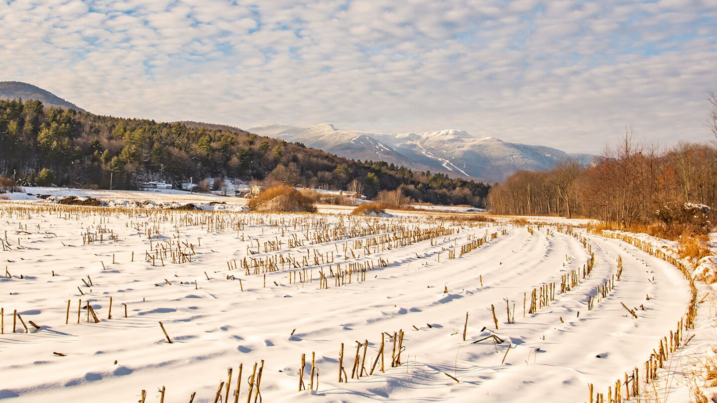 Vcrop Rotation Improving Soil Health: Using Crop Rotation for Nutrient Cycling in Soil ...