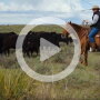 Short videos can showcase your work environment and attract top talent when included in job postings.