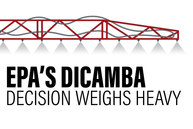 Dicamba_0.jpg
