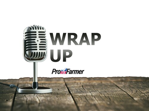 Friday Wrap Up