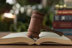 Gavel, law