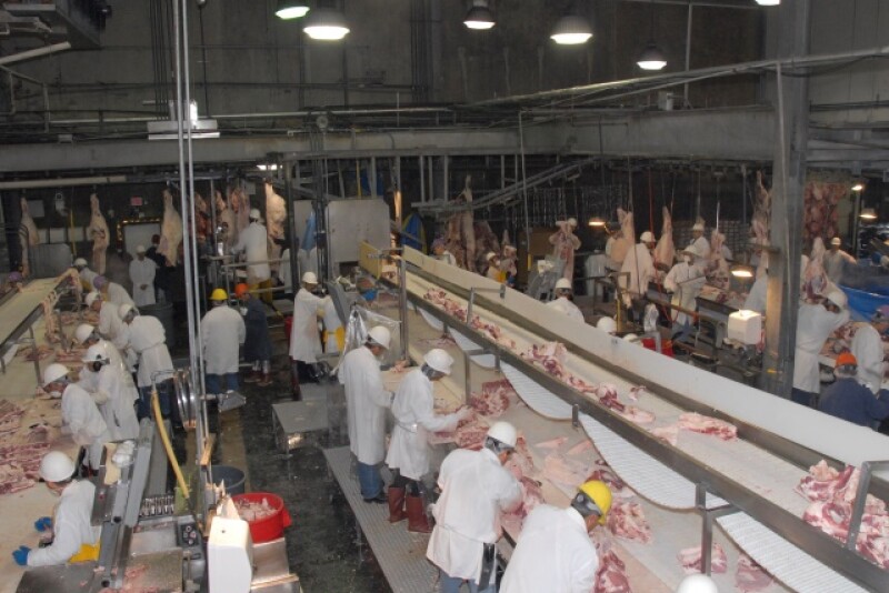 BT_USDA_Beef_Meat_Packer_4