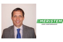 Frank Peterson has more than 30 years of experience in agribusiness, coming to Meristem from AgVenture, the nation’s largest network of independently owned and managed seed companies where he held a business development role. 