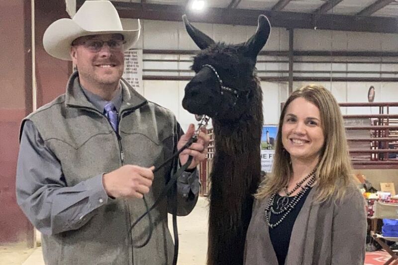 Shike Hummel and Llama