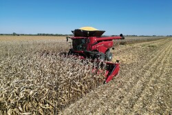 Case IH AF11 combine copy.jpg
