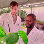 Biotalys