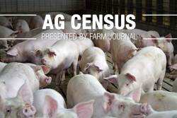 Keep reading for the top 10 pork-producing counties in the U.S., and more from the Census of Agriculture. 