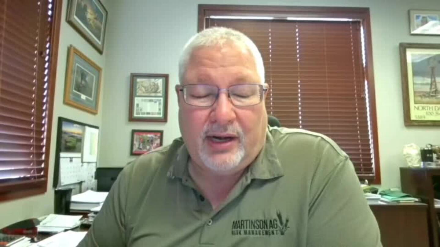 Elwin Hermanson Grains Tank on Lack of China Ag Purchases: Cattle Rally on Record Cash ...
