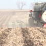 Win the Furrow Strip Till