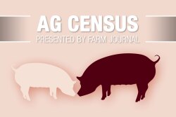Not only are the numbers of hogs produced in the U.S. growing, so are the number of hog operations, according to the 2017 Census of Agriculture released on April 11. 