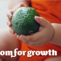 Avocados show room for growth in the U.S., Rabobank says.