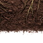 Soil health