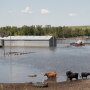 Flooding in North Dakota in 2019