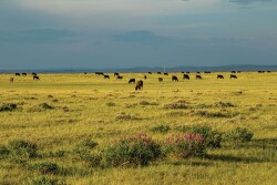 Hall Ranch-840.jpg