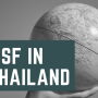 ASF in Thailand
