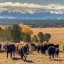 Centennial Ranch, Colo.