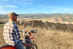 I'm a Drover - Carter Ranch