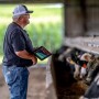 Performance Livestock Analytics provides easy-to-use software for cattle producers.