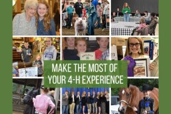 4-H experience Shike