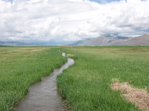 irrigration_ditch_feature.png