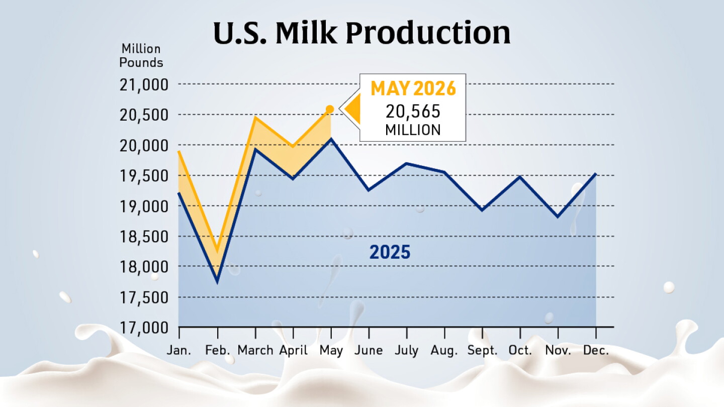 The Milk Spigot Stays Open: U.S. Production Climbs as Herd Numbers Hit 30-Year Highs