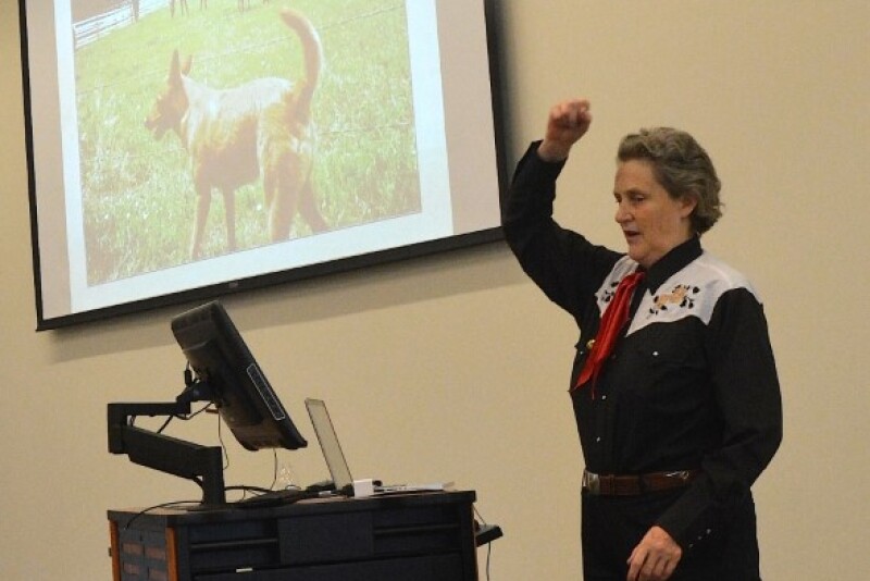 templegrandin