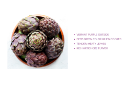 Ocean Mist's purple artichoke variety complements its green artichoke offerings.