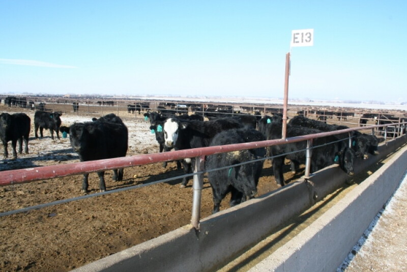 FDA has approved Monovet 90 for use in cattle fed in confinement for slaughter for improved feed efficiency; and prevention and control of coccidiosis.