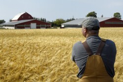 farmer