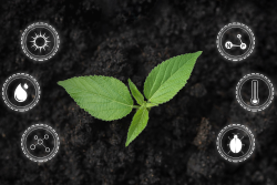 Sustainable farming, growing
