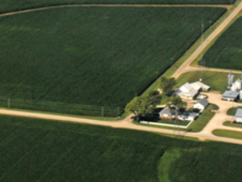 farm