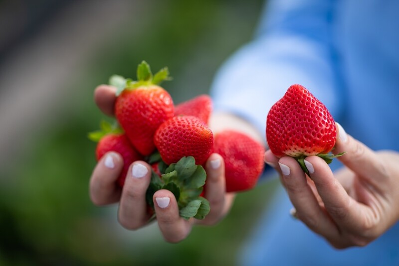 strawberries