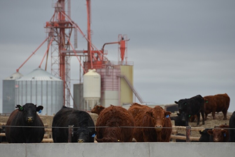 BT_Feedlot_Cattle_Feed_Mill