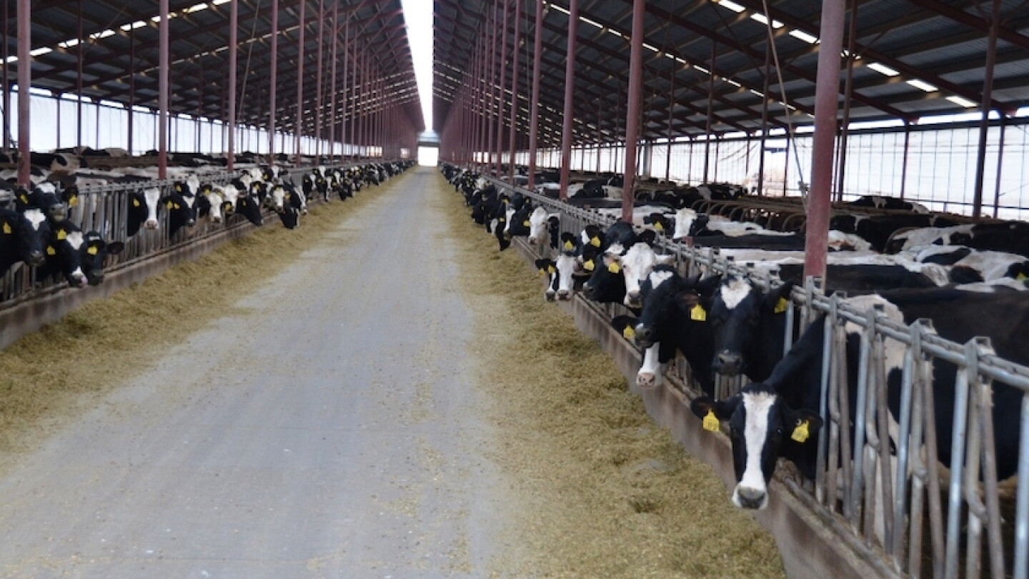 DMC Payment Issued Yet Again to Help Offset Low Milk Prices - Dairy Herd