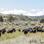 Morgan Ranches, Idaho