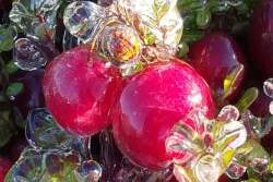 icy-cranberries