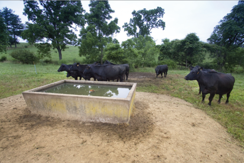 EQIP-Water-Trough