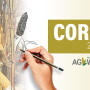 Corn 2021 Outlook 