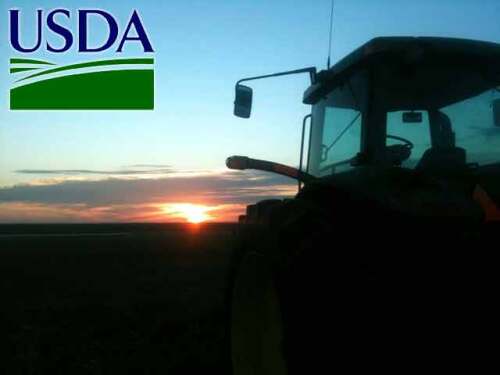 USDA-sorghum-harvest.jpg