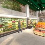 Whole Foods Market Daily Shop