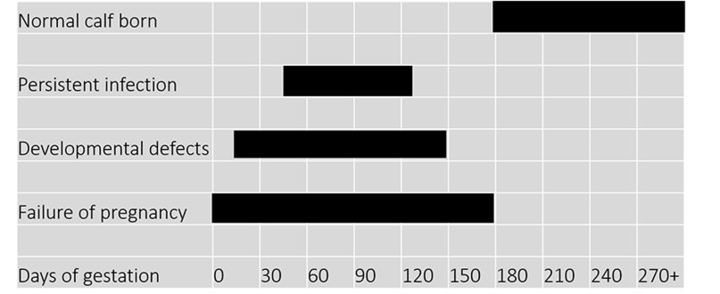 OSU%20BVD%20Chart.PNG