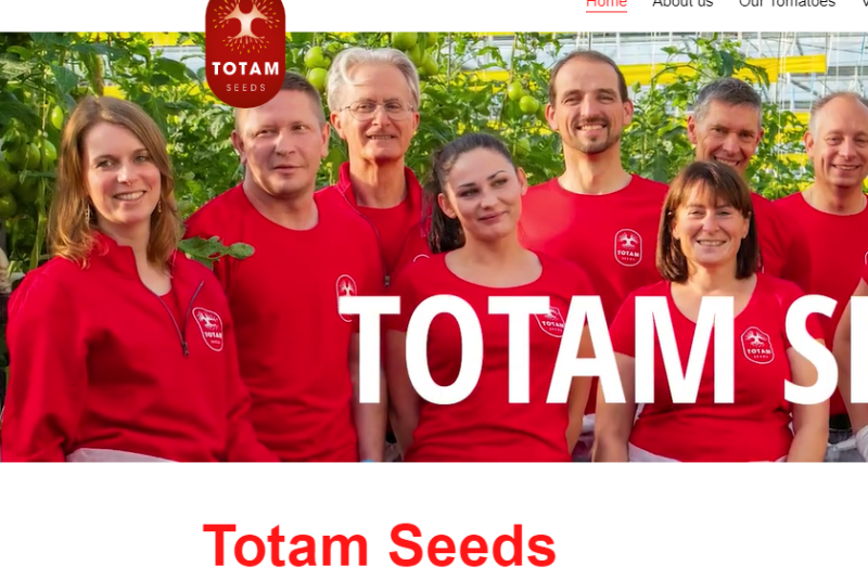 totam