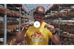 ForkinRoad-EllijayMushrooms.jpg