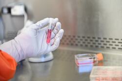 Testing provides a scientific basis for treatments and management decisions to address diseases.
