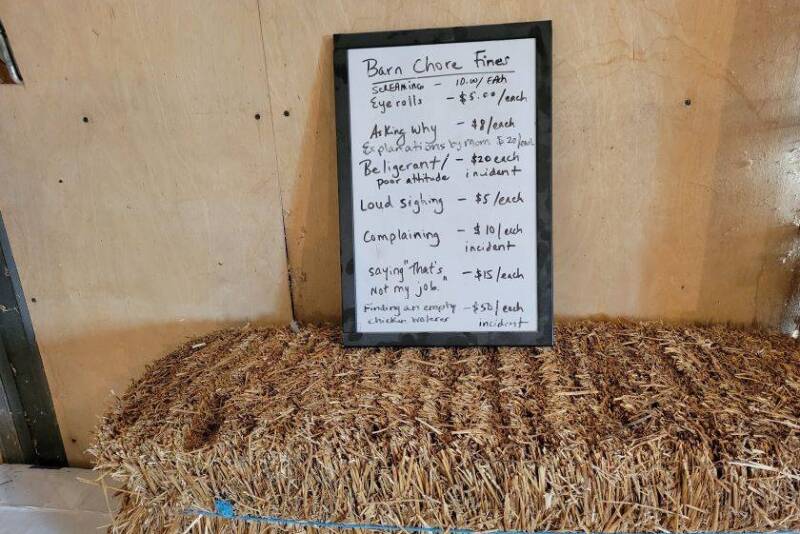 Barn Chore Fines in the Barn