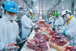 Workers at a pork processing facility